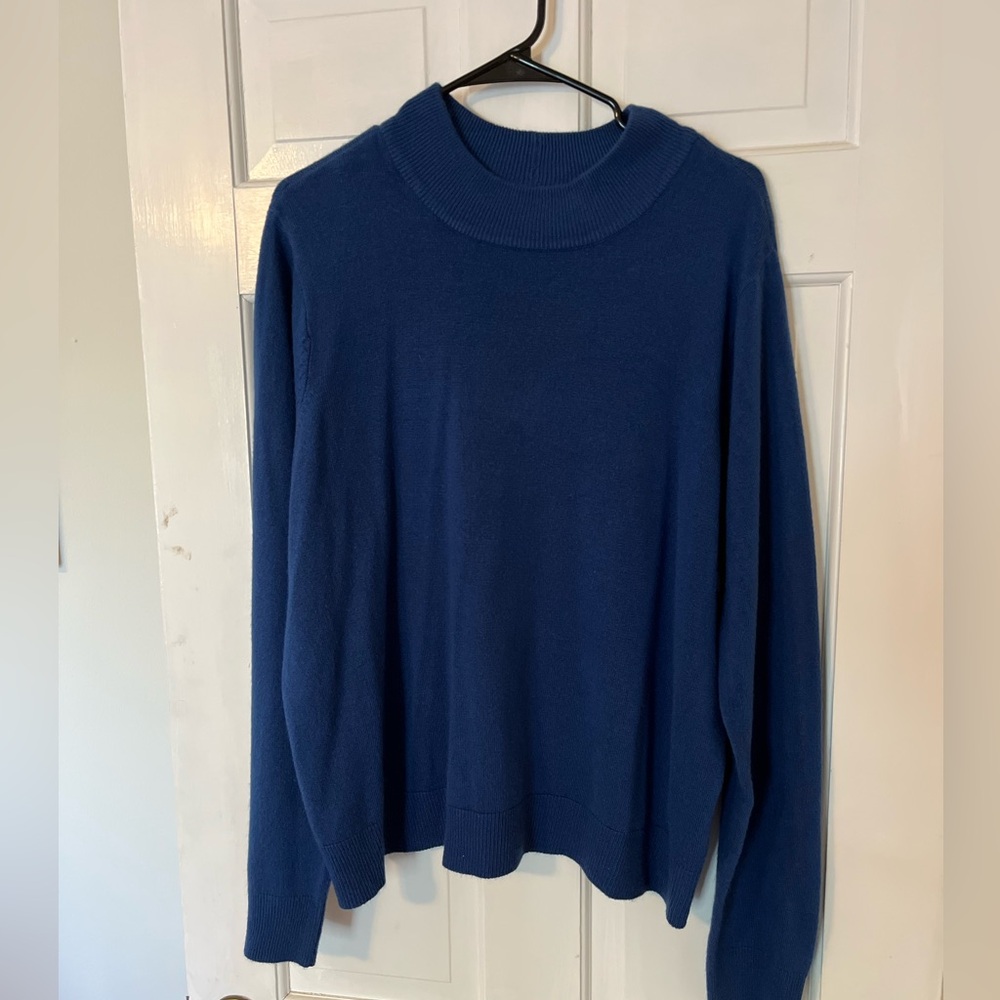 Elizabeth Williams blue mock neck sweater